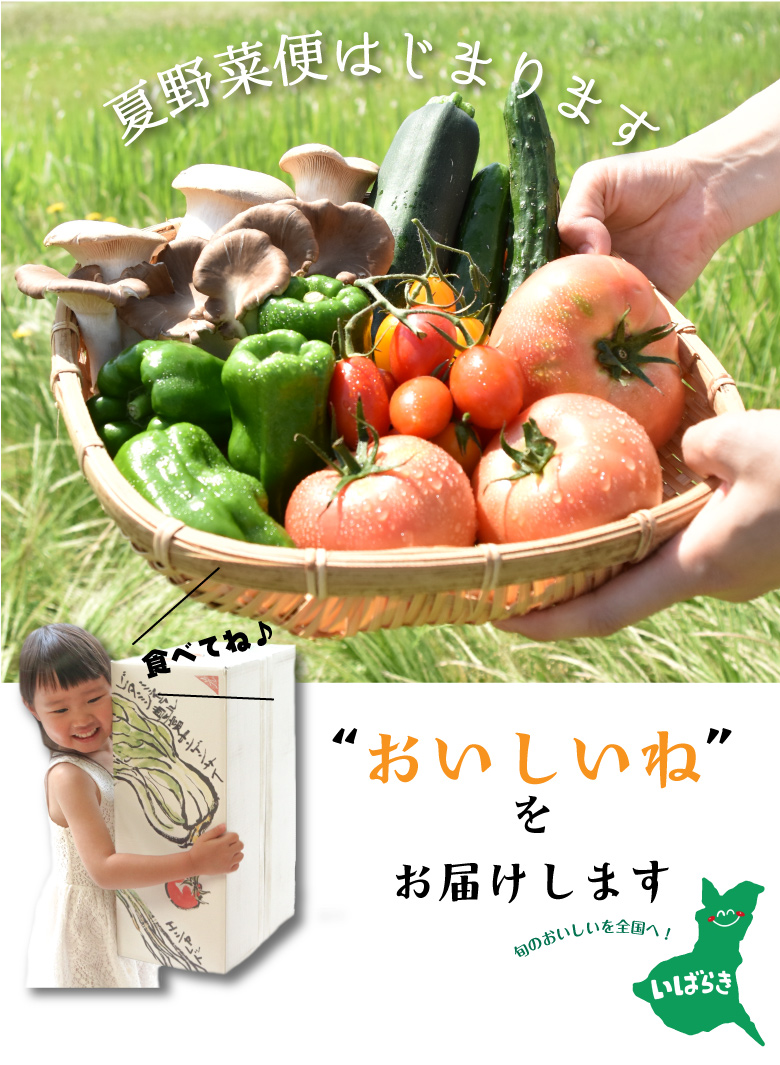 おやさい便バナー