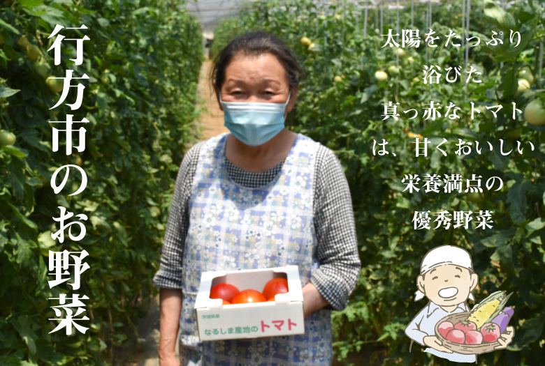 おやさい便バナー