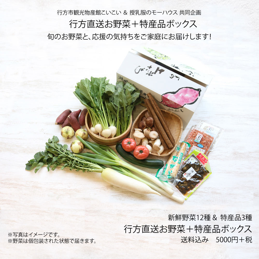 行方直送お野菜+特産品ボックス 野菜12種+特産品3種