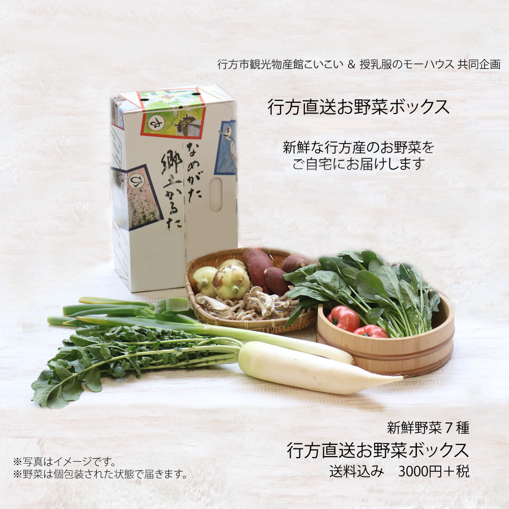 行方直送お野菜ボックス 野菜7種