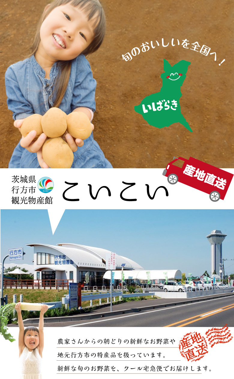 おやさい便バナー